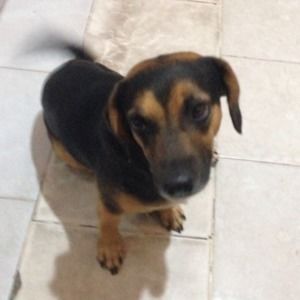 Meet your Posher, Rogerio